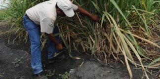 Stakeholders Partner to increase Private Sector investment in the Agricultural Sector