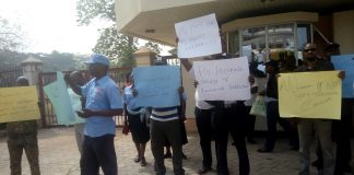 Farmers Decry Government’s Neglect Of Agricultural Sector