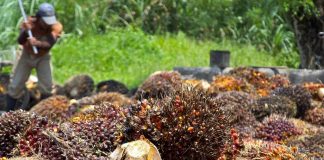 Christian Broadcasting Network (CBN) Africa Supports Nigerian Farmers Community in Oyo