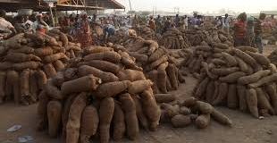 Consumers Face Expensive Yams as Sellers Raise Prices