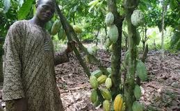 Germany Trains 230,000 Farmers in Nigeria, Others