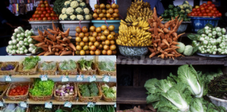 Nigeria Increases Fruit Export to Europe