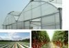 Dizengoff, Others Set Up Greenhouse Farming Fund