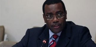 Adesina to FG: Implement Policies That Will Boost Agriculture