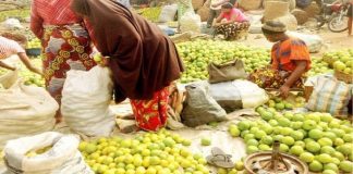 Ogun Aims to Become  Food Basket of The Nation