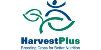 HarvestPlus releases 18 bio-fortified food varieties in Nigeria