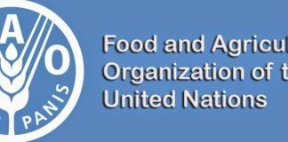 FAO, ECOWAS and FG Partner to Boost Forest Resources