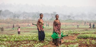 FAO and WFP to Alleviate Hunger in Greater Kasai