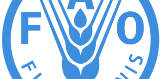 France and FAO to Partner on Climate Change