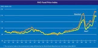 FAO Food Price Index Declines Amid Cereals Boom