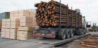 Global Wood Production Growth Accelerates