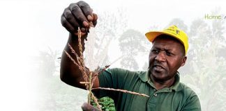 Agric Startup, Farmcrowdy Raised 1M USD Seed Fund