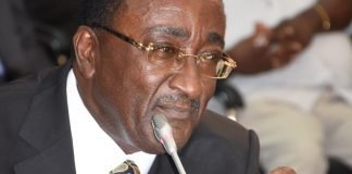 Minister Recommends “one chief, one farm” initiative to revive Agriculture