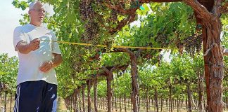 Bringing Space Technology to Water Needs in California Vineyards