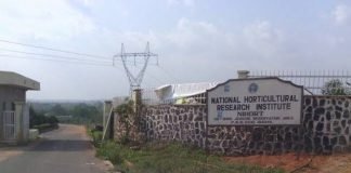 NIHORT Encourages Youths on Plantain and Mushroom FarmingÂ