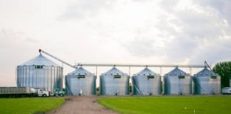 FG to Upgrade Dutsen-ma Silos with Monitory System