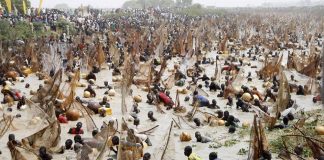 Kebbi to Explore Fisheries to Boost TourismÂ