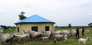 $95 Million Ruga Settlement Project Unveiled in Kano
