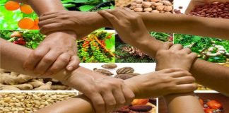 NFGCS Improves Irrigation and Fishing, Constructs N20m Dam