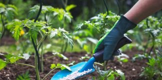 FG Unveils Act to Abolish Misconduct in Fertiliser Subsector