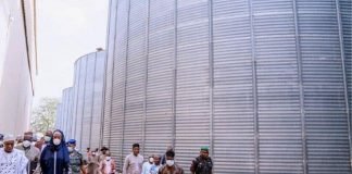 Buhari Approves Release of 70,000MT of Grains