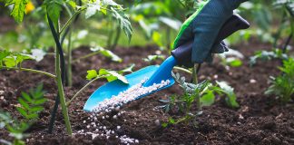 FEPSAN to Partner With Farmers to Tackle Fertilizer Adulteration