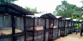 Anambra Fortifies Farmers with Poultry Inputs