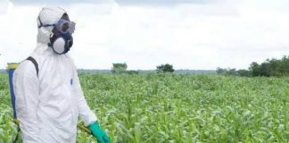 CPFAN Calls for FG Intervention Over Pest Invasion