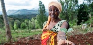 Oyo SWOFON Laments Challenges to Food Security