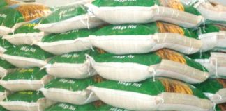 RIFAN Assures Nigerians of Rice Production, Supply Despite Flooding