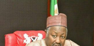 Jigawa Govt. Distributes 2.5m Tree Seedlings to Tackle Deforestation