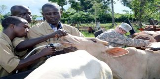 NVMA, Vetsark Signs MoU to Curb Animal Disease Outbreak