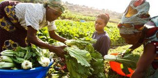 AGRA Empowers Women and Youths in Niger State