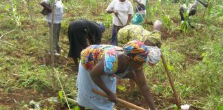 Oyo AFAN Commends FG on Farm Implements, Equipment Distribution