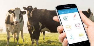 NIAS Advocates for Technology and Innovation in Livestock Industry