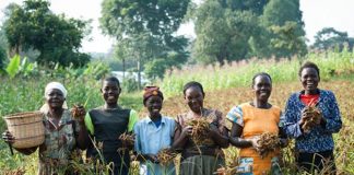 Women Farmers Call for Grants from FG