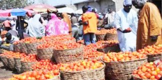 AFAN Expresses Concern Over Rising Food Prices