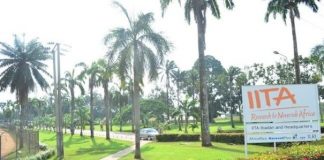 IITA Shines as SABPA Names Top 20 Most Influential Plant Breeders in Africa