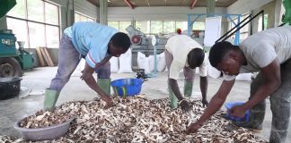 AfDB, Others Commission Prototype Machine for Cassava Peel Processing