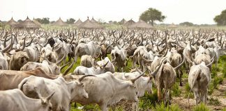 More Than 10 States OK Implementation of NLTP