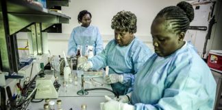 FAO Raises Alarm on Drug-Resistant Diseases