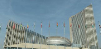 Aubee Solicits Support in Bid for AU Commissioner Slot