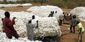 NACOTAN Commends CBN on Textile Forex Ban