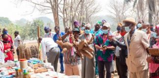 IITA, Sano Foods Advocate for Inclusion of OFSP in Bread