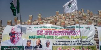 RIFAN Sets Up Rice Pyramids to Celebrate Rice Festival