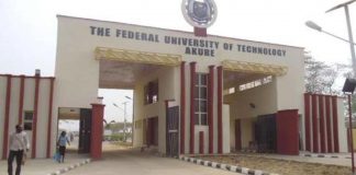 RMRDC Joins Forces With UI, FUTA on Local Plywood Production