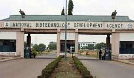 NABDA Debunks Myths Surrounding Consumption of GMOs