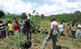 FG Trains 1,100 Extension Workers to Boost Agricultural Productivity