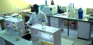 FIIRO Partners Alstein on Enzyme Production for Agro-industrial Use