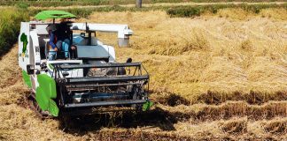 RiceAfrika Introduces Harvesters Hiring Service to Boost Productivity